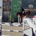 No-Mercy Van 't Hooghemelrijk